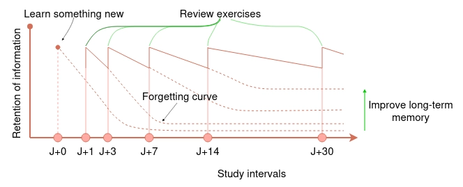 Spaced Repetition System